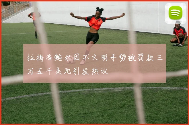 拉梅洛鲍尔因不文明手势被罚款三万五千美元引发热议