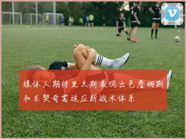 媒体人期待里夫斯表现出色詹姆斯和东契奇需适应新战术体系