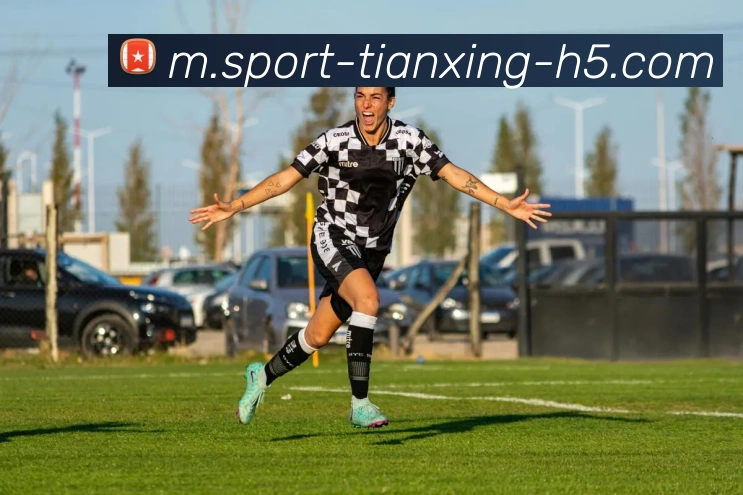 天行体育平台生态图